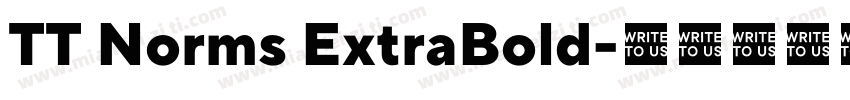TT Norms ExtraBold字体转换